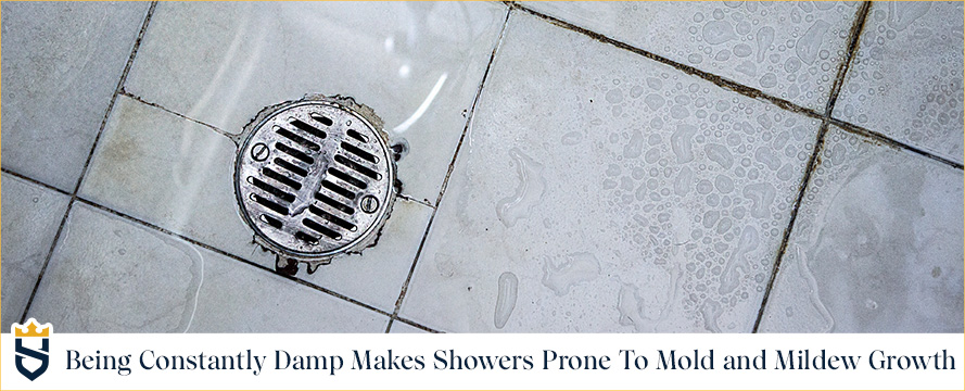 Bathrooms Don't Clean Themselves Being Constantly Damp Makes Showers Prone to Mold and Mildew Growth