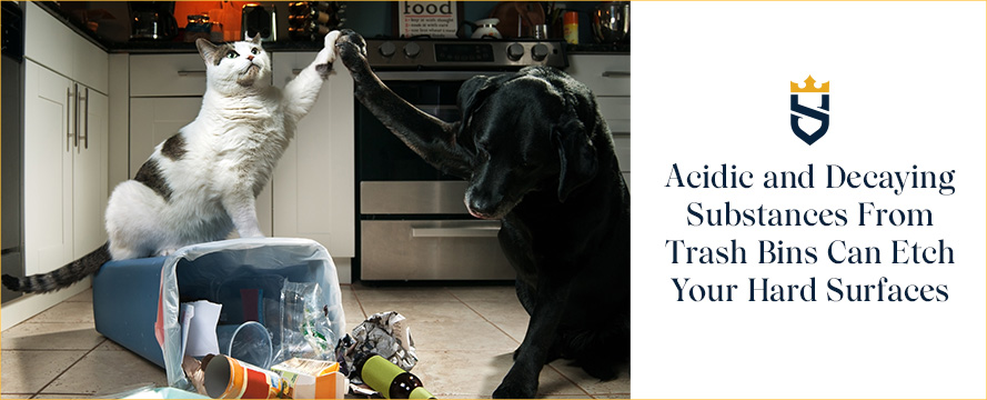 Proper sealing and pet-proof trash cans can help prevent etching and stains Acidic and decaying substances from trash cans can etch your hard surfaces