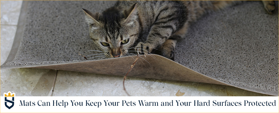 Keep your pet's nails trimmed to avoid scratches Mats can help you keep your pets warm and your hard surfaces protected
