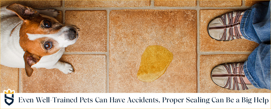 Sealing your hard surfaces can help you minimize the consequences of pets' accidents Even well-trained pets can have accidents; proper sealing can be a big help
