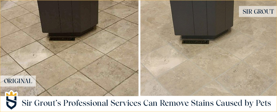 This family had two large dogs Sir Grout's professional service can remove stains caused by pets