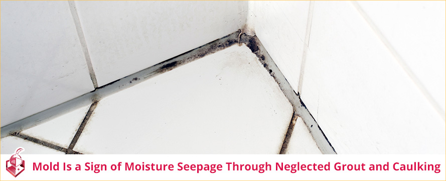 It's Important to Stop the Leak Immediately So There Is No Further Damage Mold Is a Sign of Moisture Seepage through Neglected Grout and Caulking