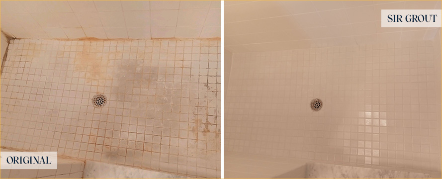 Shower Restored by Our Expert Tile and Grout Cleaners in Edina, MN