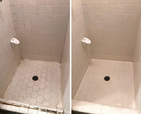Shower Before and After a Tile Cleaning in Minneapolis, MN