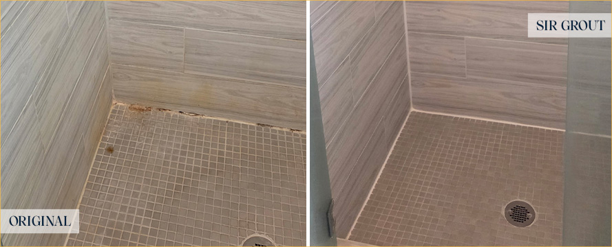 Shower Restored by Our Expert Tile and Grout Cleaners in St. Louis Park, MN