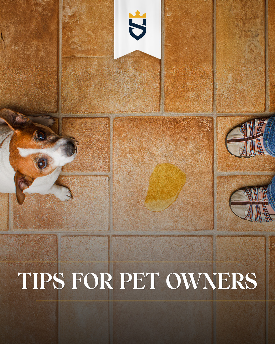 Tips for Pet Owners